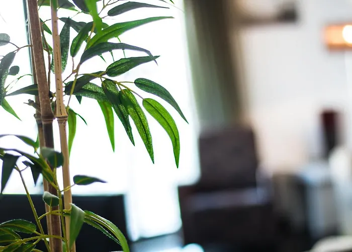 Martin's House Apartament *